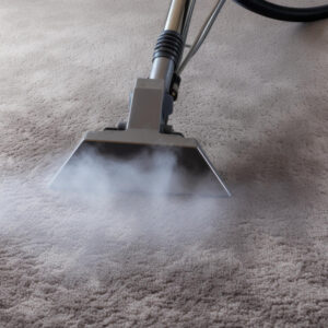 CARPET CLEANING ROOM